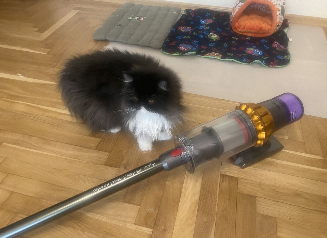 Dyson V15 Detect Absolute Extra i obok kot perski